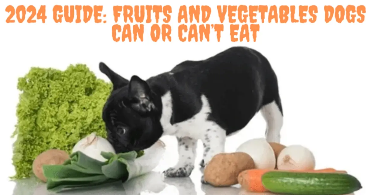 Fruits and Vegetables Dogs Can or Can't Eat