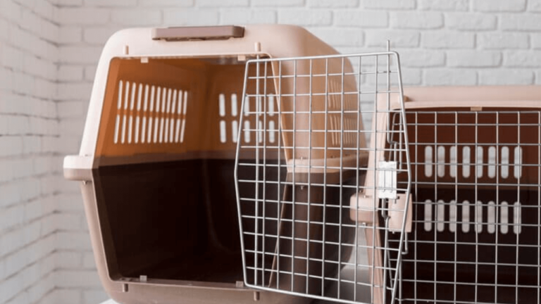 Small Dog Crate