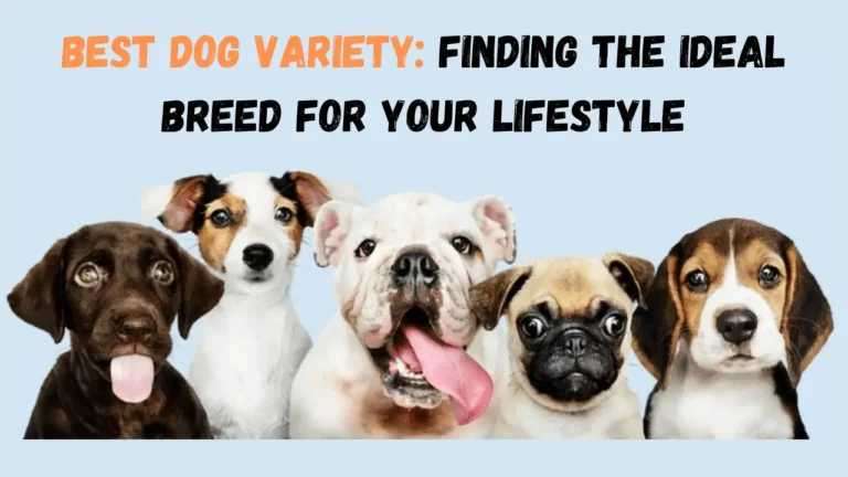 Best Dog Variety Finding the Ideal Breed for Your Lifestyle