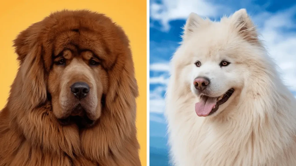 A giant fluffy dog sitting outdoors, showcasing its large size and calm temperament.